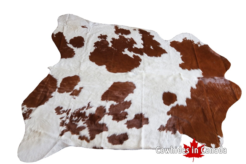 100207 Brown and White Cowhide Rug - Premium Collection