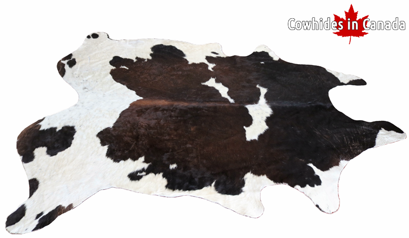 98435 - Big Brown Chocolate and White Cowhide Rug SIZE XXL