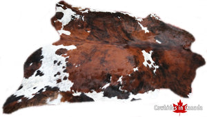 Big Real XXXL Cowhide Rug Tricolor. Premium Collection. Code 97038