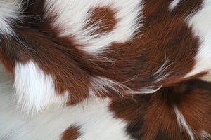 Real  Cowhide Rug Tricolor. Premium Collection. Code 98000