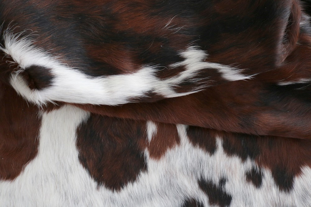 Big Real XXXL Cowhide Rug Tricolor. Premium Collection. Code 97038