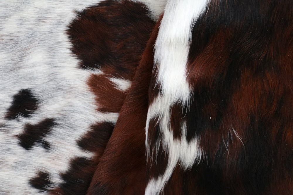 Big Real XXXL Cowhide Rug Tricolor. Premium Collection. Code 97038