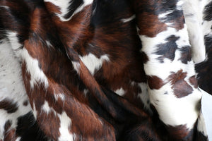 Big Real XXXL Cowhide Rug Tricolor. Premium Collection. Code 97037