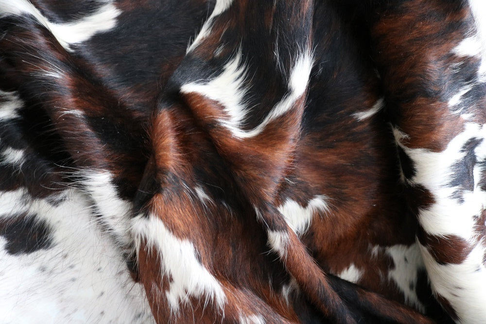 Big Real XXXL Cowhide Rug Tricolor. Premium Collection. Code 97037