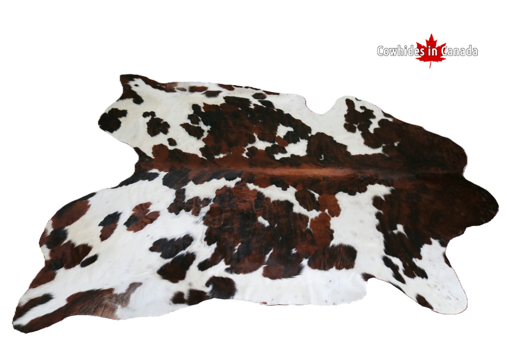 98342 - Cowhide Rug  BIG SIZE XXL TRICOLOR -  Premium Collection