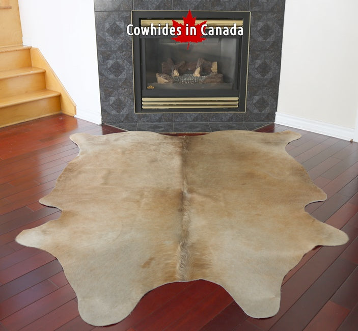 A  95363  Cowhide rug Collection Cowhides in Canada