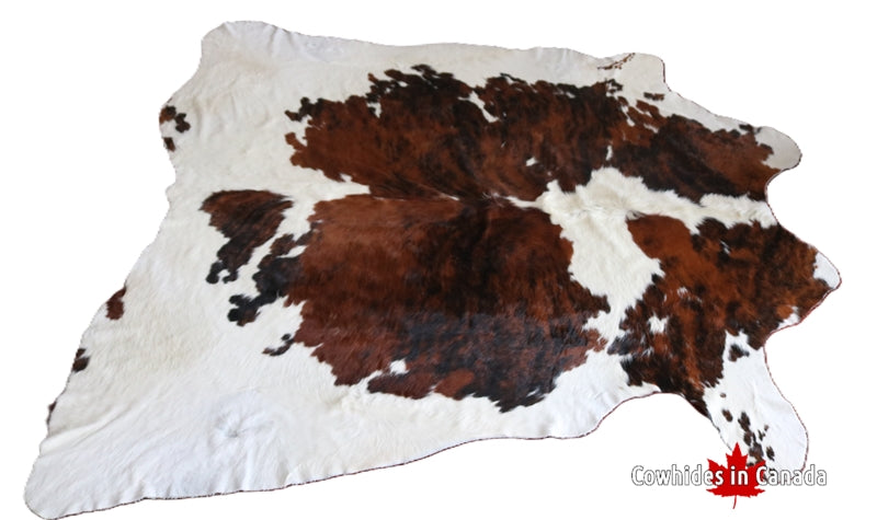 300013- BIG Cowhide Rug Tricolor XL-  Premium Collection