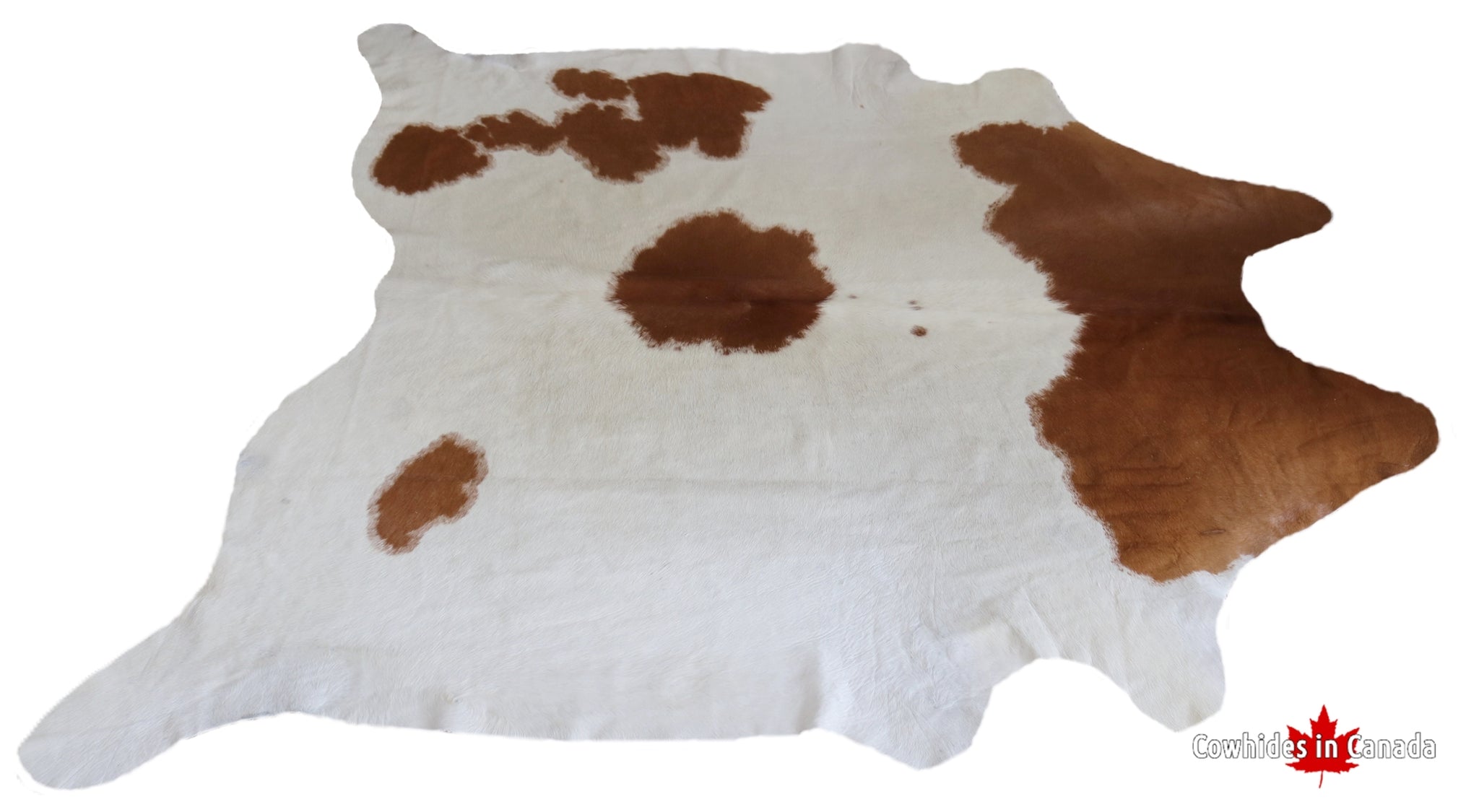Brown Caramel and white cowhide rug. Code 300038