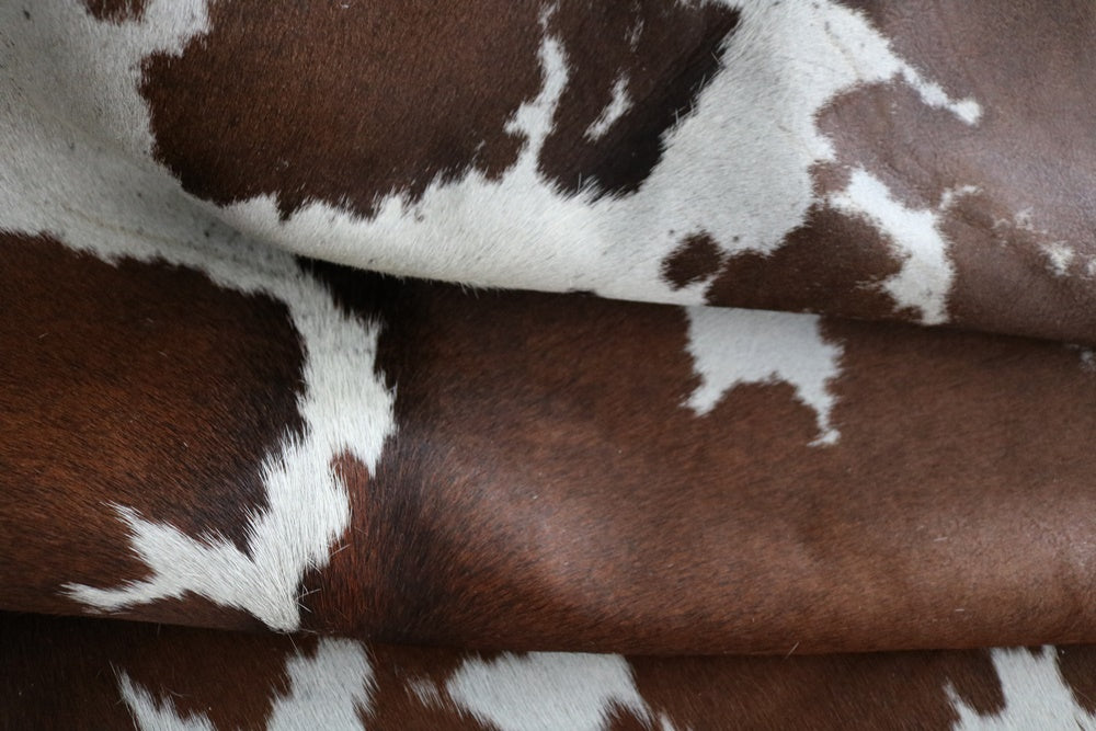 96023  Cowhide rug Collection Cowhides in Canada