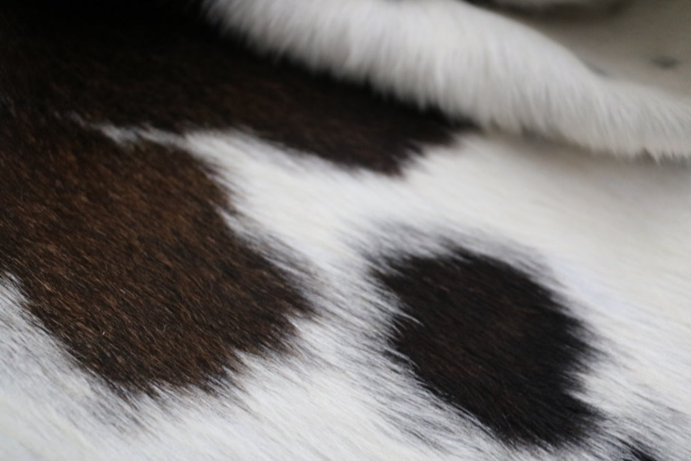 96024  Cowhide rug Collection Cowhides in Canada