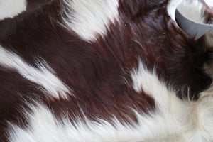 96039  Cowhide rug Collection Cowhides in Canada XXL BIG SIZE