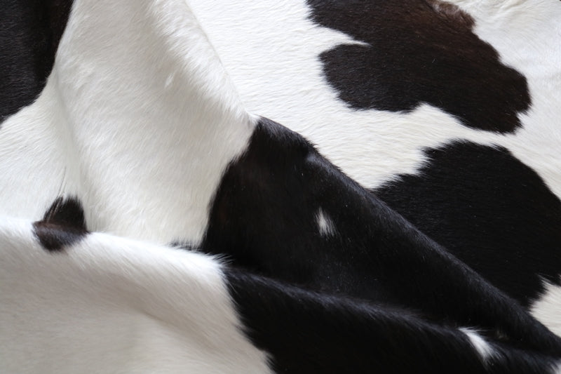 Black and White cowhide rug. Code 96070.