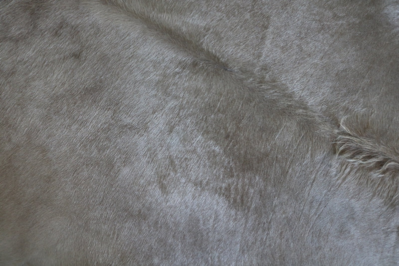 Palomino cowhide rug. Code 96113.