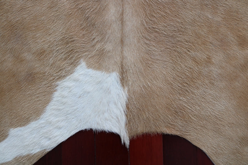 Brown and white cowhide rug. Code 96134.