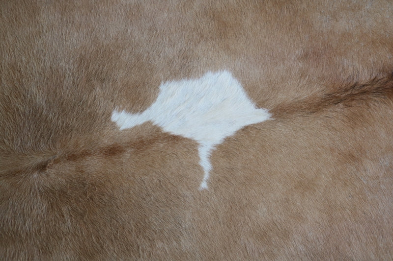 Brown and white cowhide rug. Code 96134.