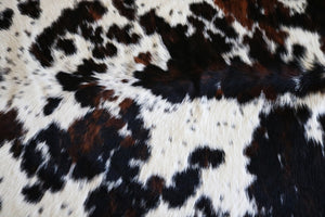 Exotic cowhide rug Tricolor. Code 96137.