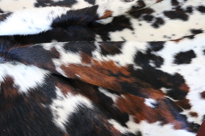 Exotic cowhide rug Tricolor. Code 96137.