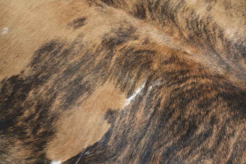 Exotic cowhide rug Tricolor . Code 96161.