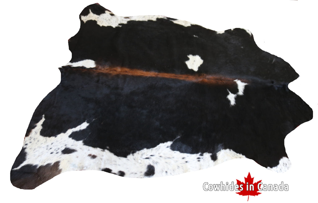 99587- Cowhide Rug -  Premium Collection