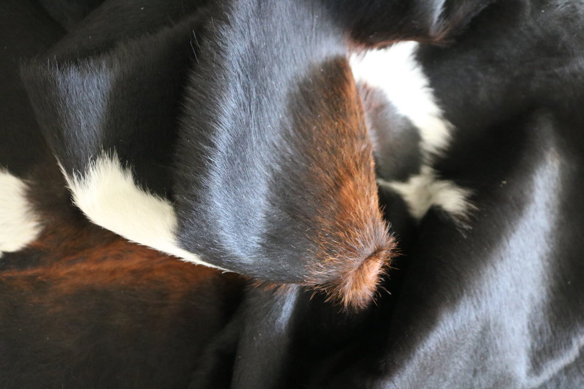 Premium Cowhide Rug 99587- Cowhide Rug - Premium Collection – CowhidesInCanada