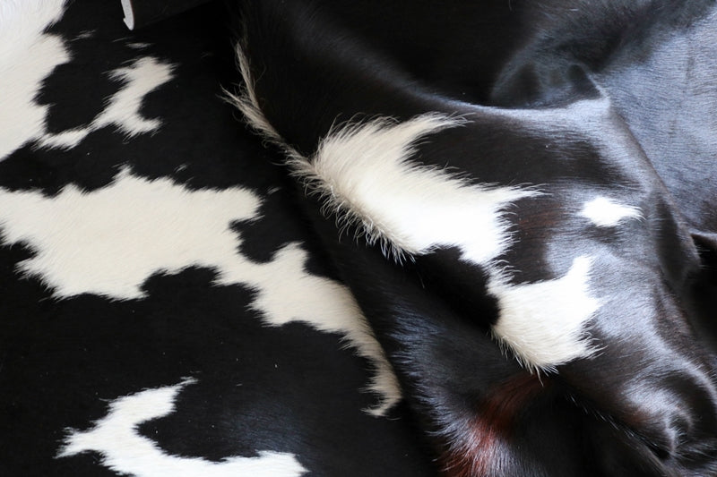 99223- Tricolor Cowhide Rug  - Premium Collection