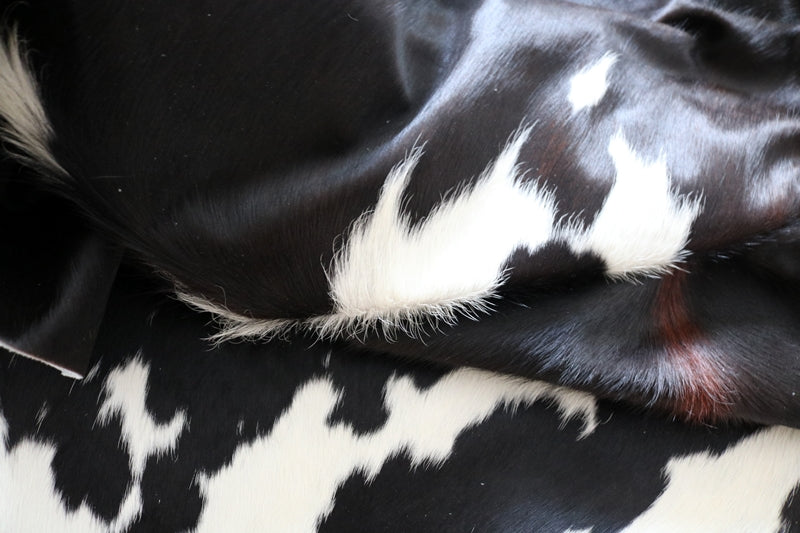 99223- Tricolor Cowhide Rug  - Premium Collection