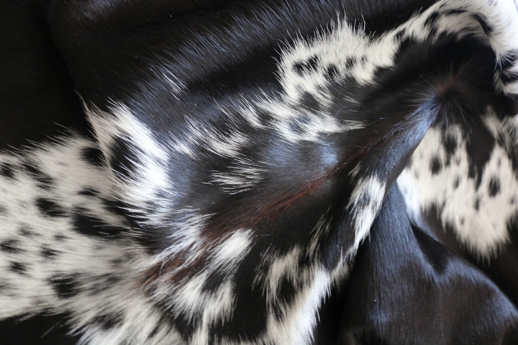 99286- Cowhide Rug TRICOLOR  - Premium Collection