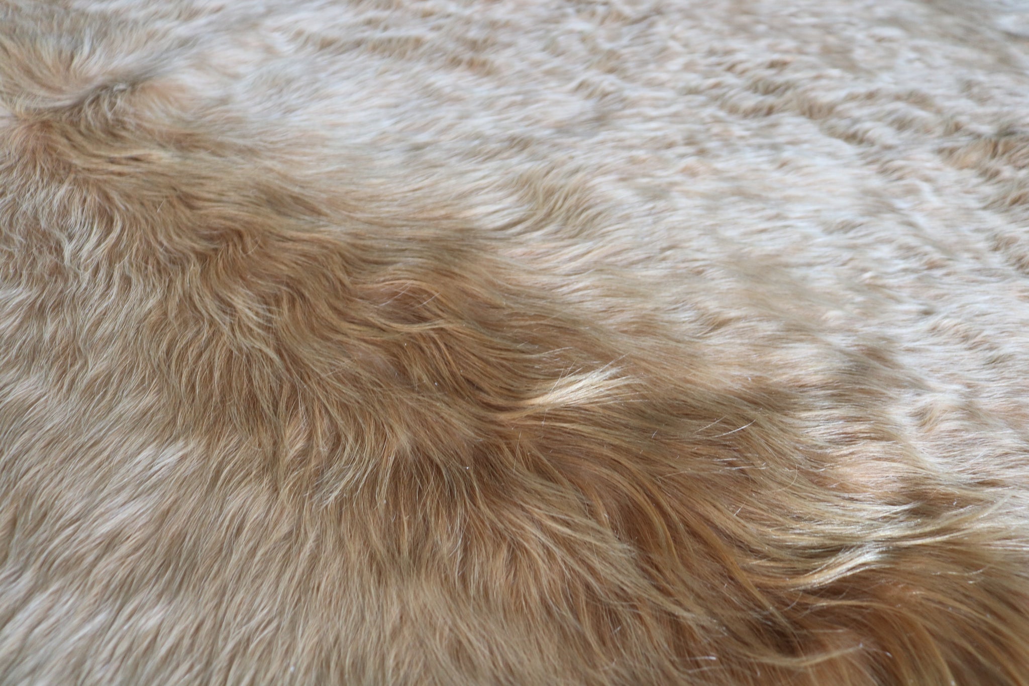 Long hair light Brown Cowhide rug.Code 9700.