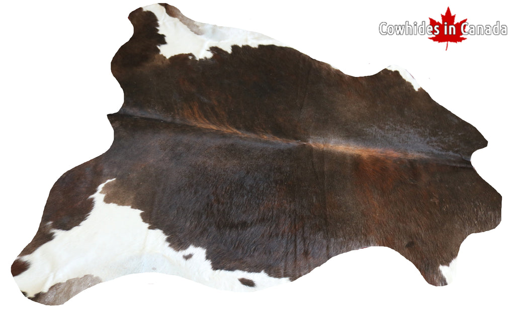 99291- Cowhide Rug TRICOLOR  - Premium Collection