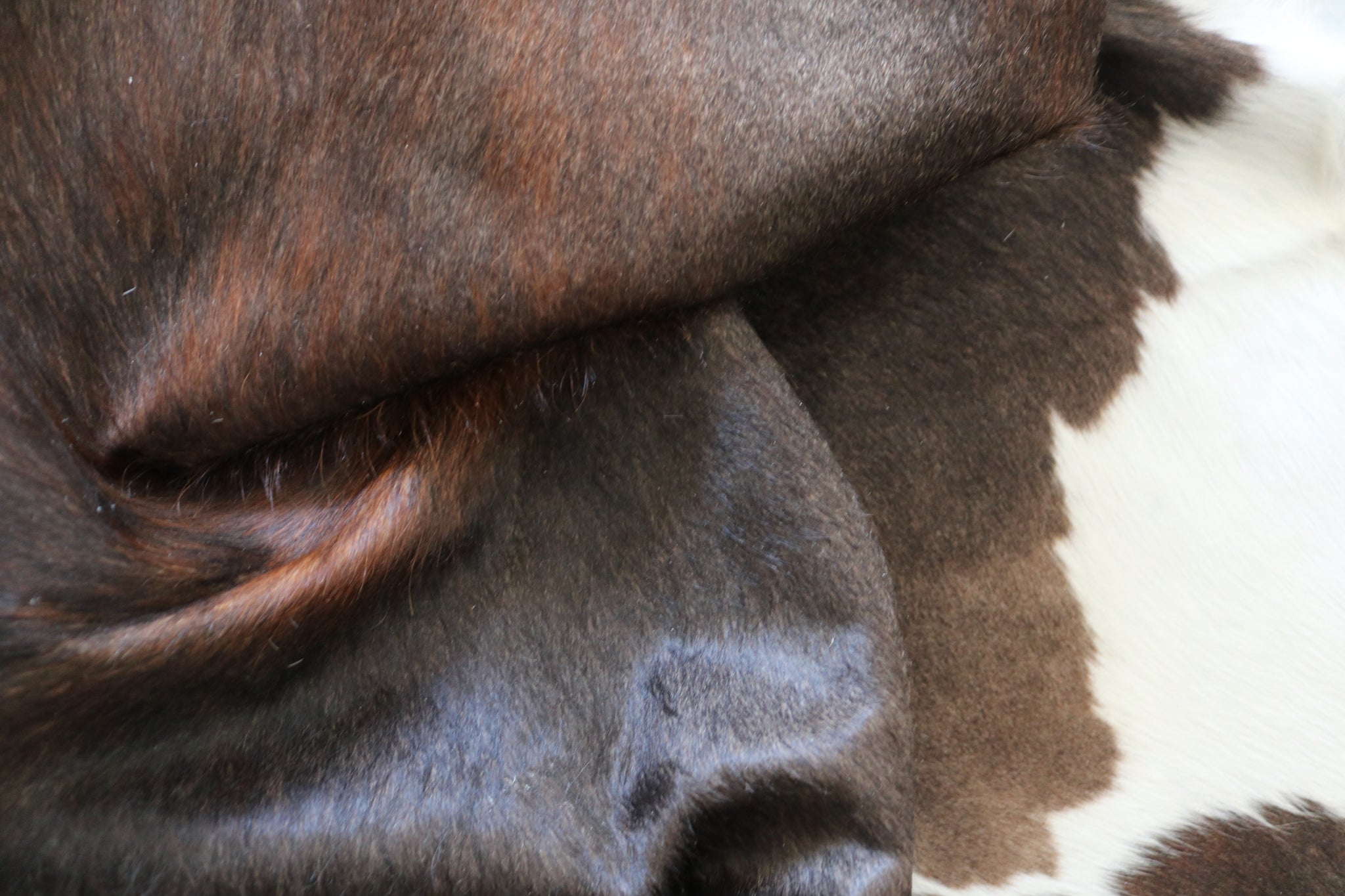 99291- Cowhide Rug TRICOLOR  - Premium Collection