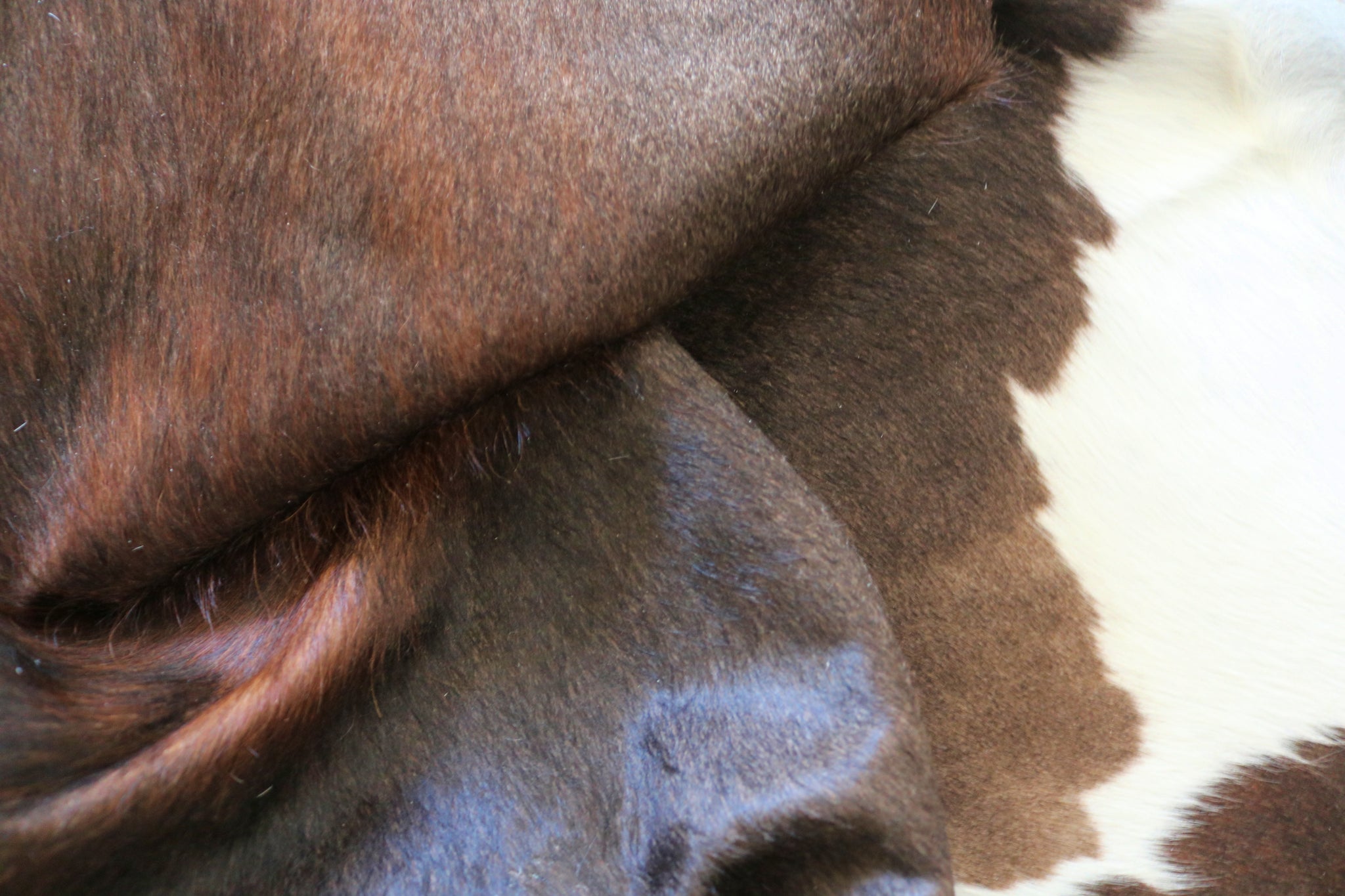 99291- Cowhide Rug TRICOLOR  - Premium Collection