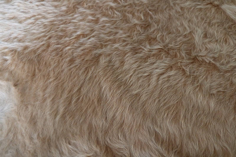 Long hair light Brown Cowhide rug.Code 9700.