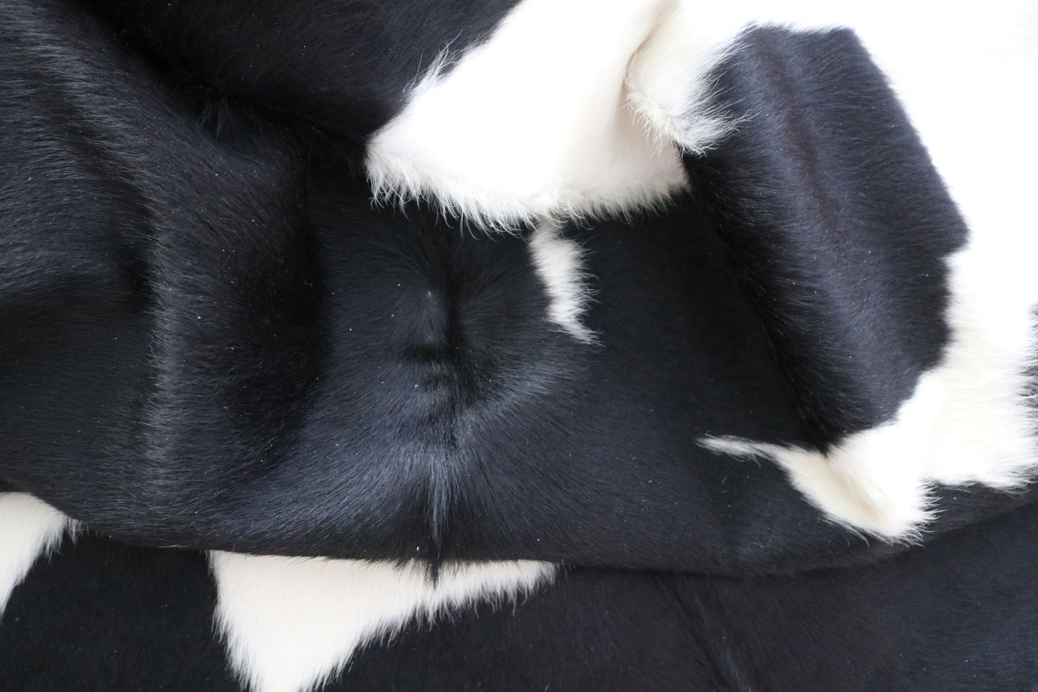 99299- Cowhide Rug BLACK & WHITE - Premium Collection