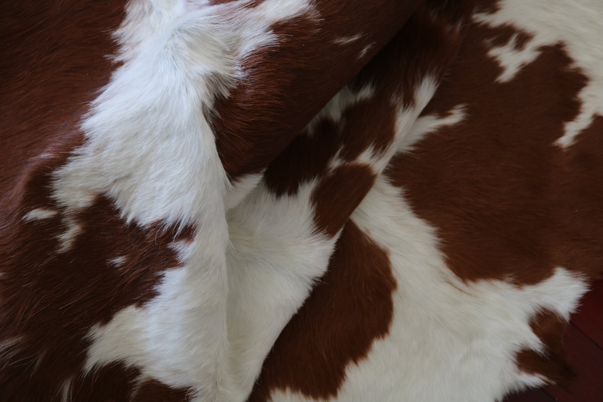99305- Cowhide Rug BROWN & WHITE - Premium Collection