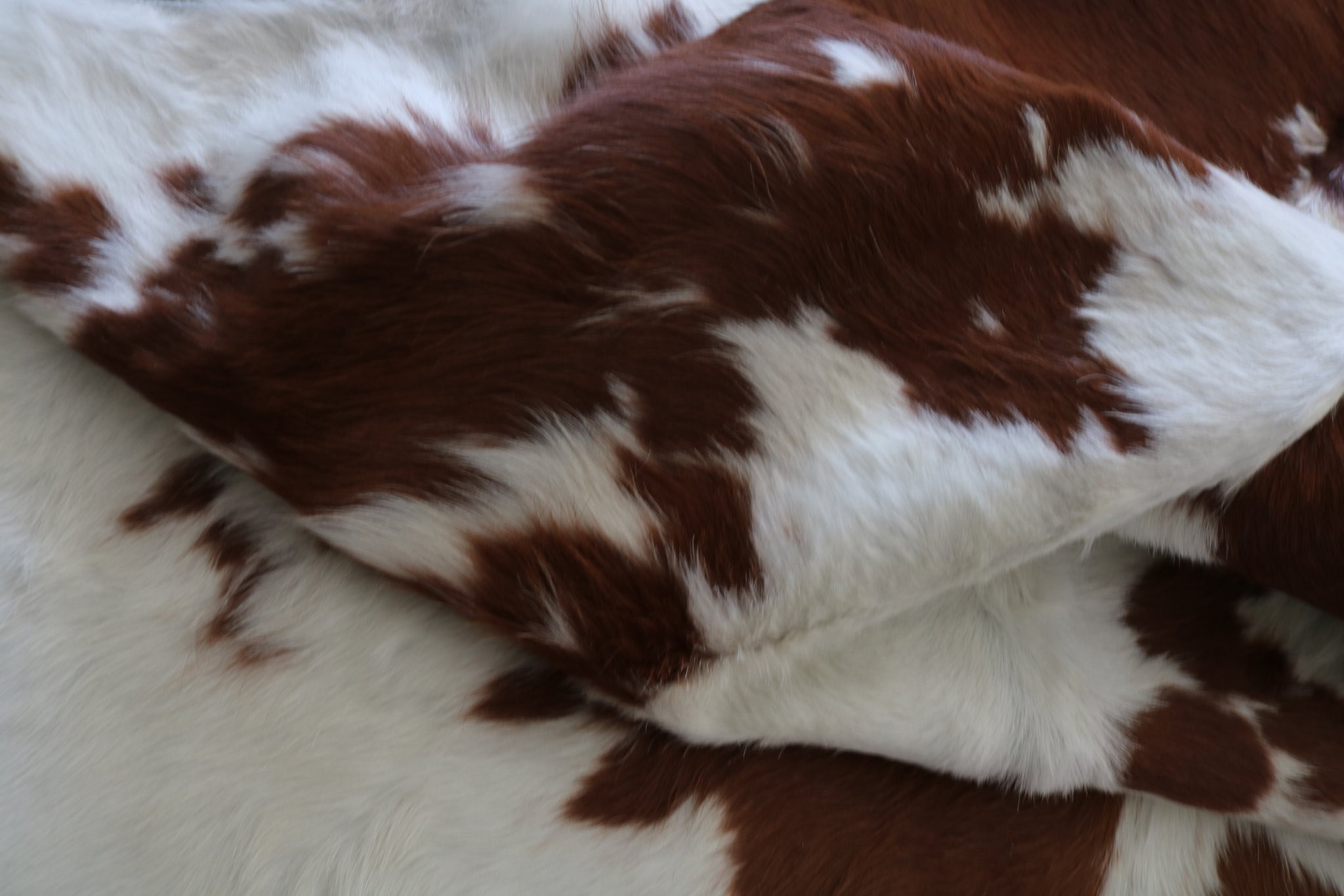 99305- Cowhide Rug BROWN & WHITE - Premium Collection