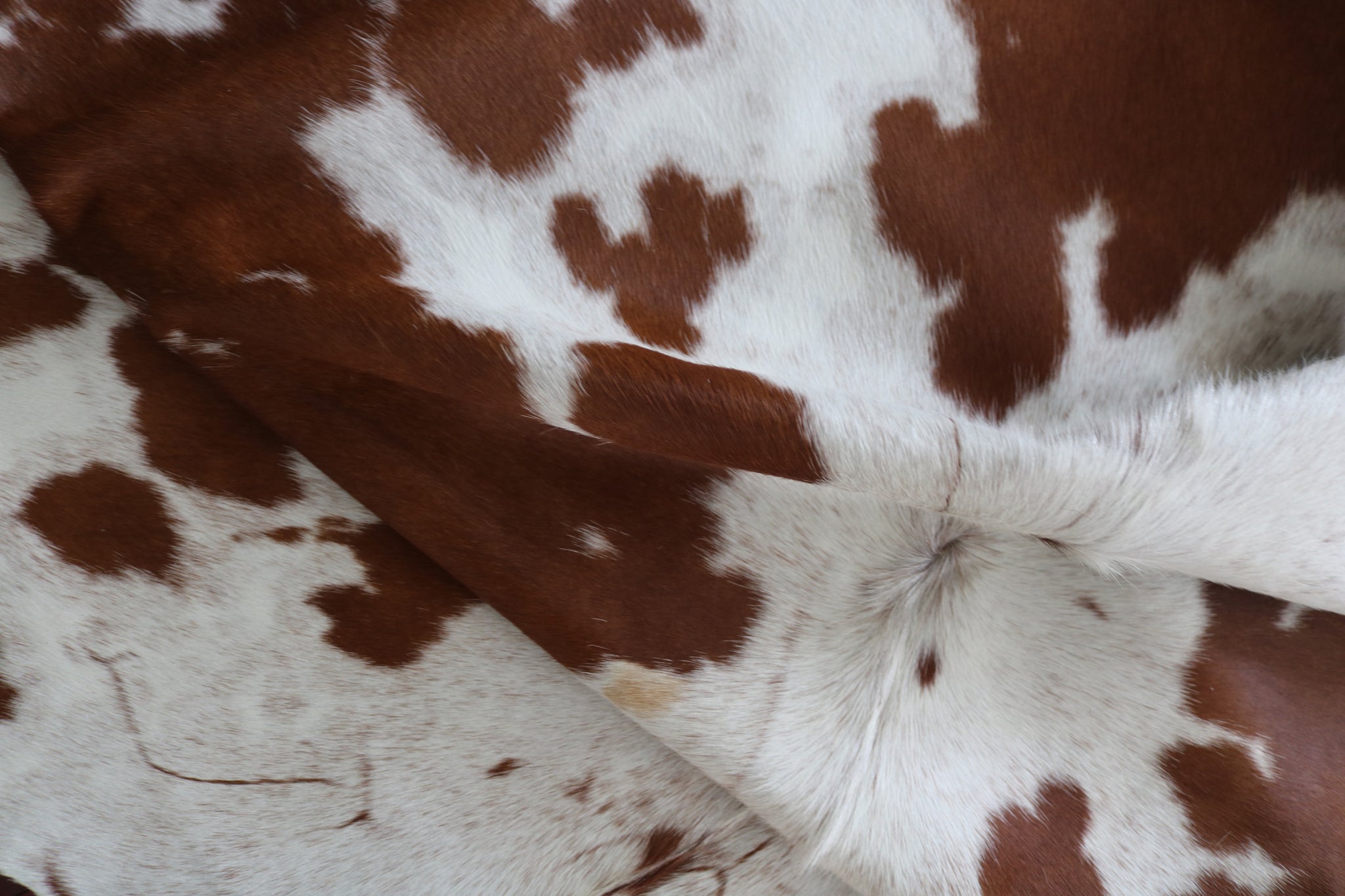 99317- Cowhide Rug BROWN & WHITE - Premium Collection