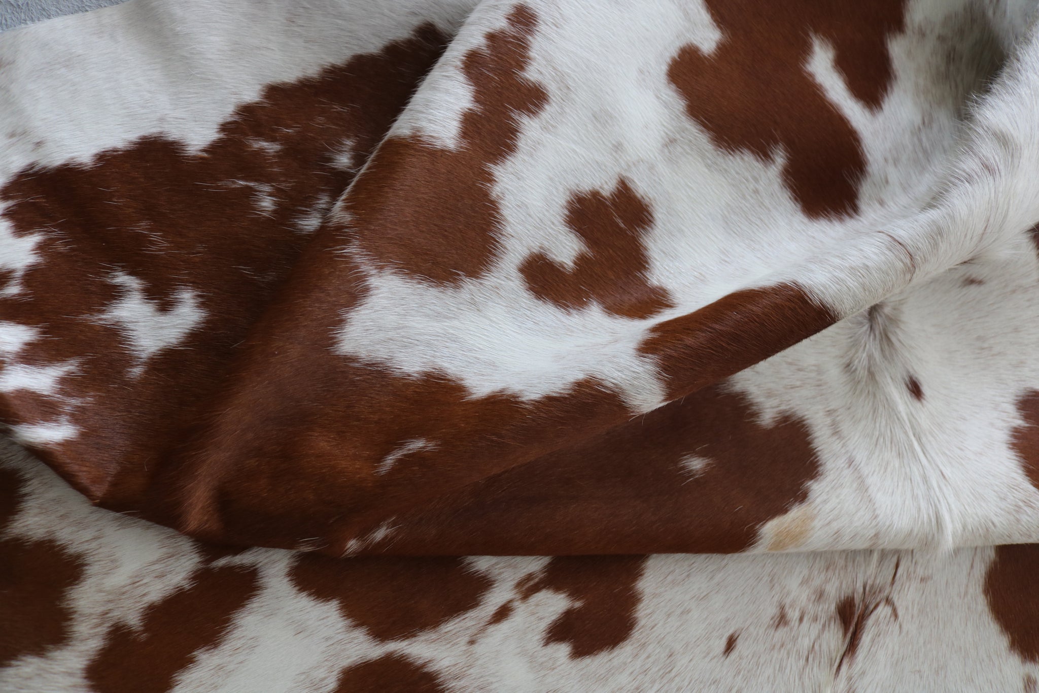 99317- Cowhide Rug BROWN & WHITE - Premium Collection