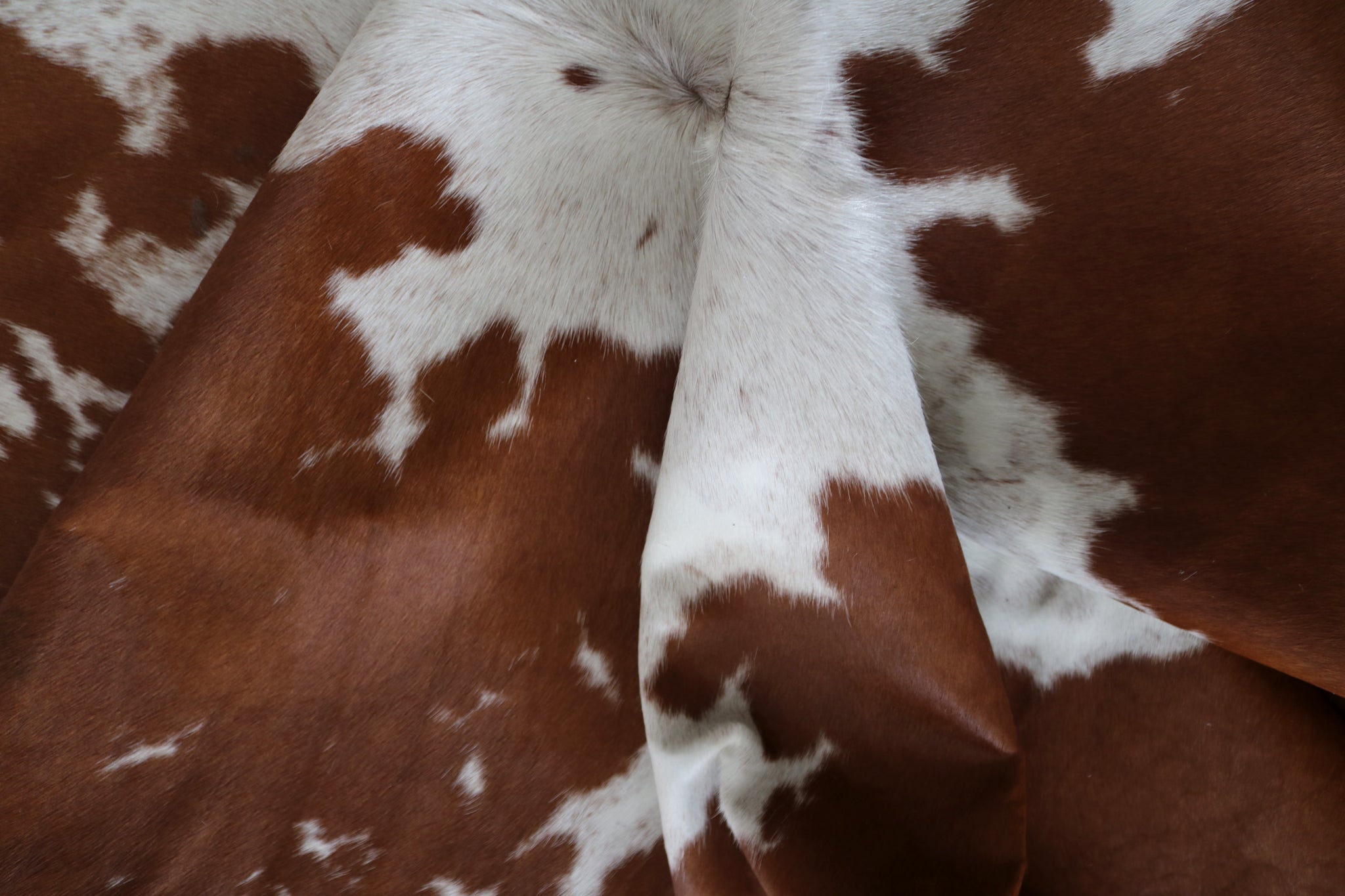 99317- Cowhide Rug BROWN & WHITE - Premium Collection