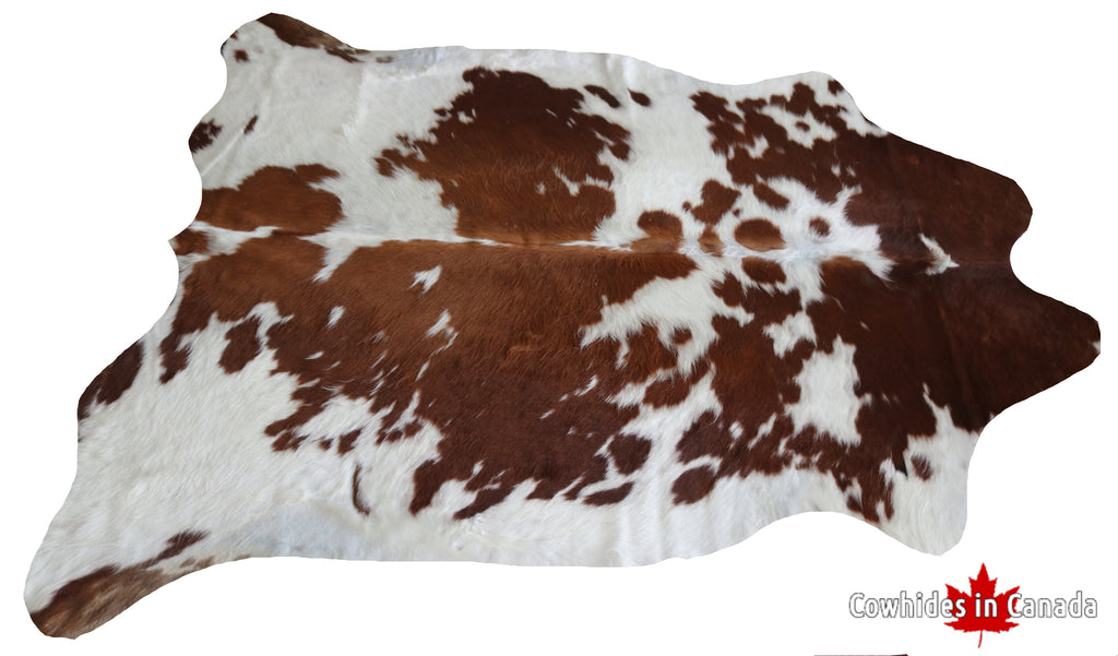 99319- Cowhide Rug BROWN & WHITE - Premium Collection