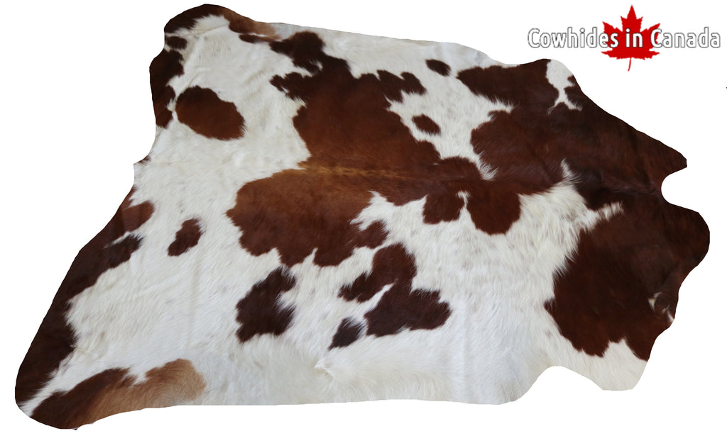 200538- Cowhide Rug BROWN & WHITE - Premium Collection