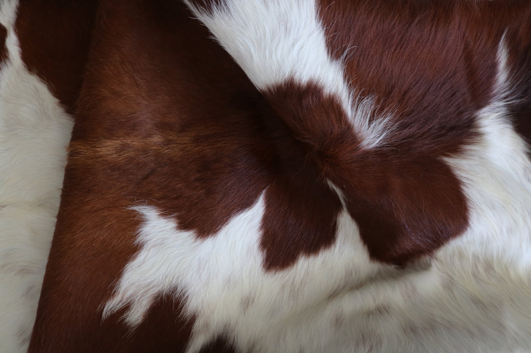 200538- Cowhide Rug BROWN & WHITE - Premium Collection