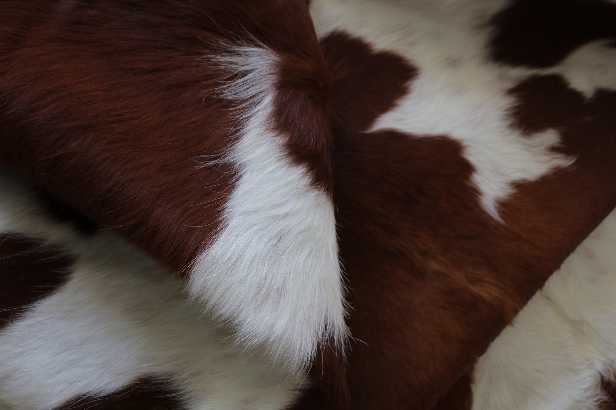 200538- Cowhide Rug BROWN & WHITE - Premium Collection