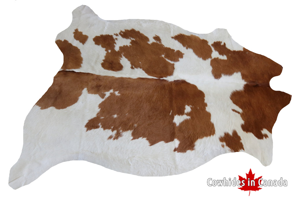 200539- Cowhide Rug BROWN & WHITE - Premium Collection