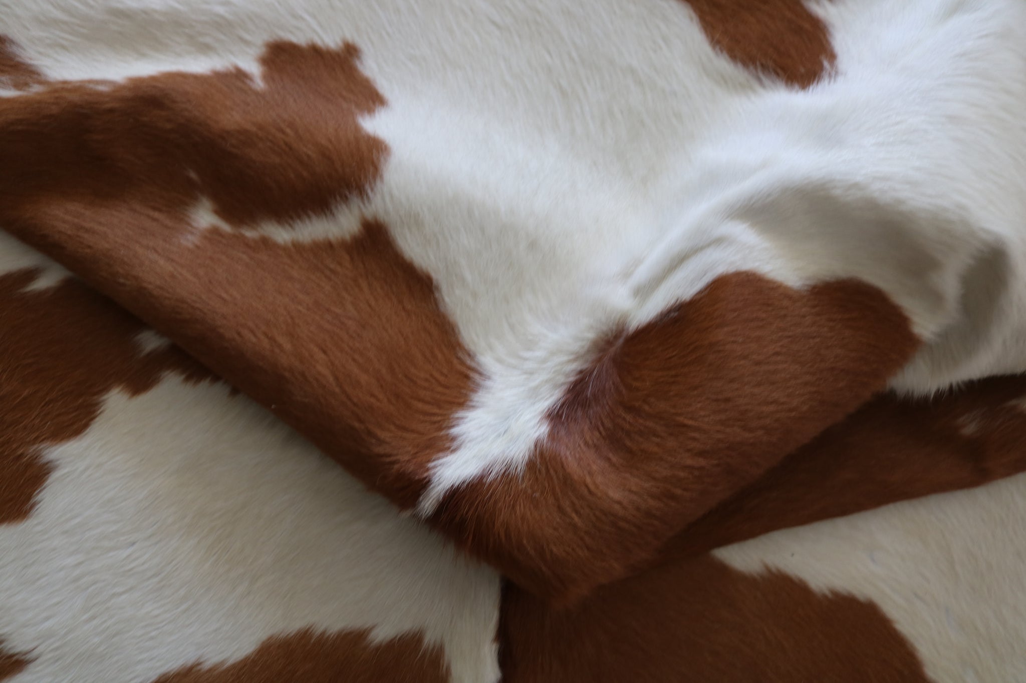 200539- Cowhide Rug BROWN & WHITE - Premium Collection