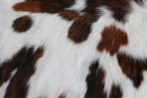 Cowhide Rug Tricolor XXL Premium Collection. Code 97003.