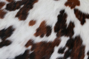 Cowhide Rug Tricolor XXL Premium Collection. Code 97003.