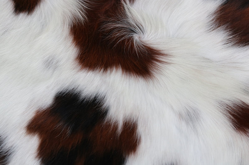 Cowhide Rug Tricolor XXL Premium Collection. Code 97003.