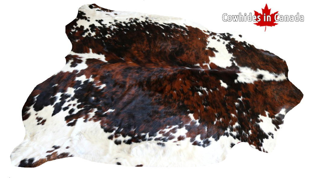 99329 - SUPER BIG Cowhide Rug Tricolor SIZE XXXL - Premium Collection