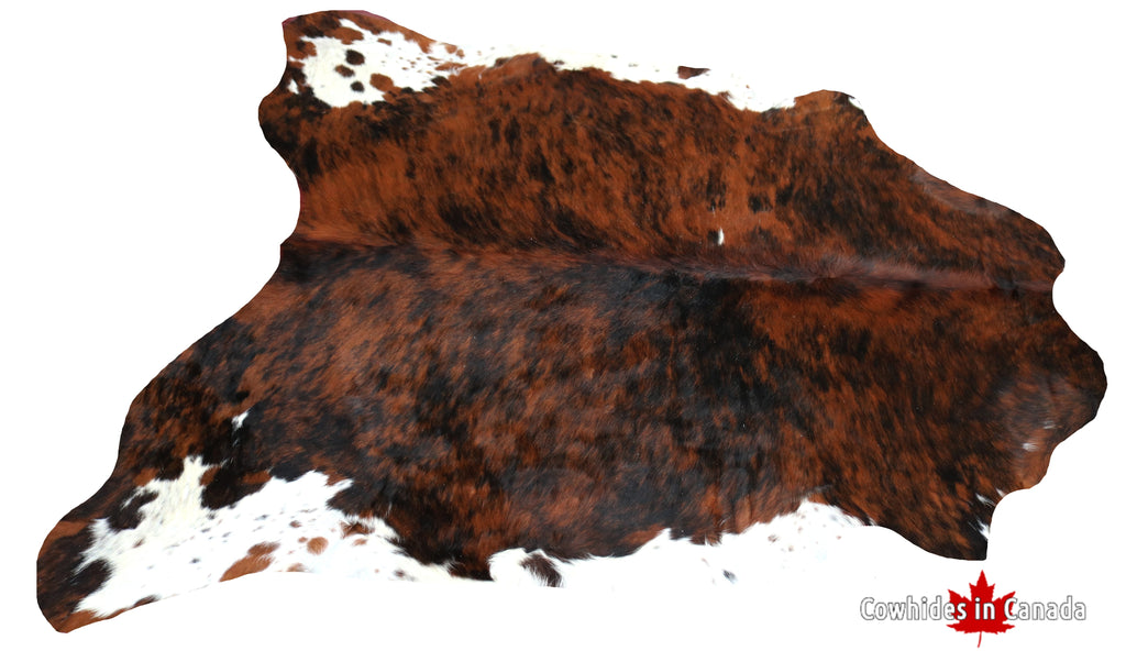 99335- Cowhide Rug TRICOLOR  - Premium Collection