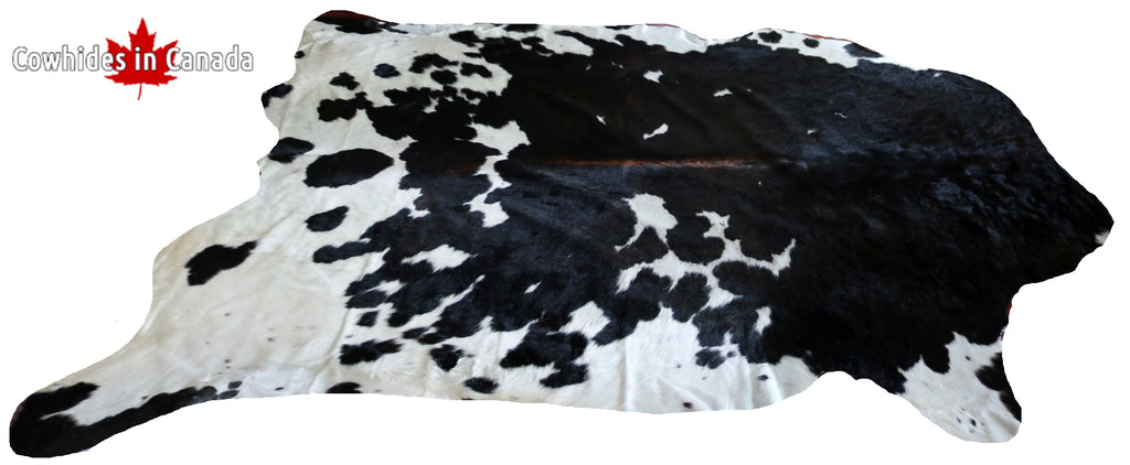 99341- SUPER BIG TRICOLOR Cowhide Rug  SIZE XXXL - Premium Collection